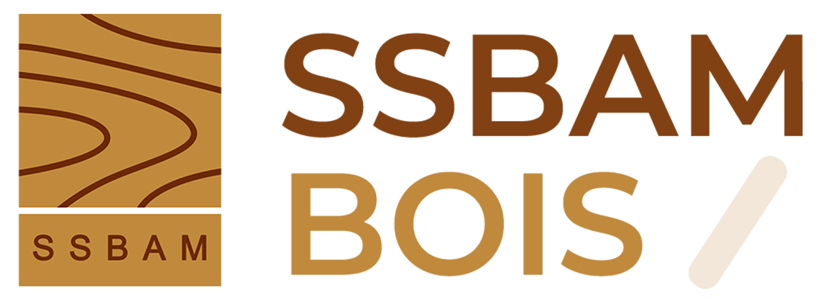 cropped-logo-SSBAM.png